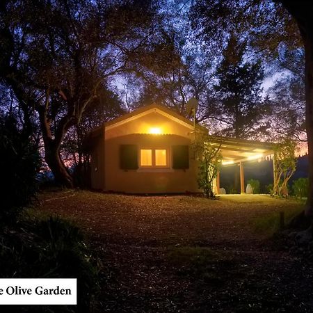 House In The Olive Garden Ágios Ioánnis Exterior foto