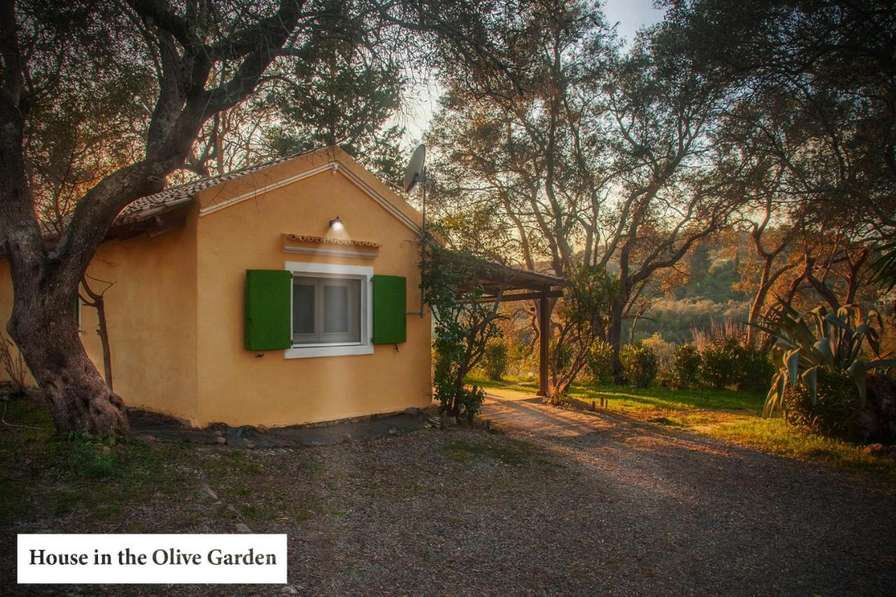House In The Olive Garden Ágios Ioánnis Exterior foto