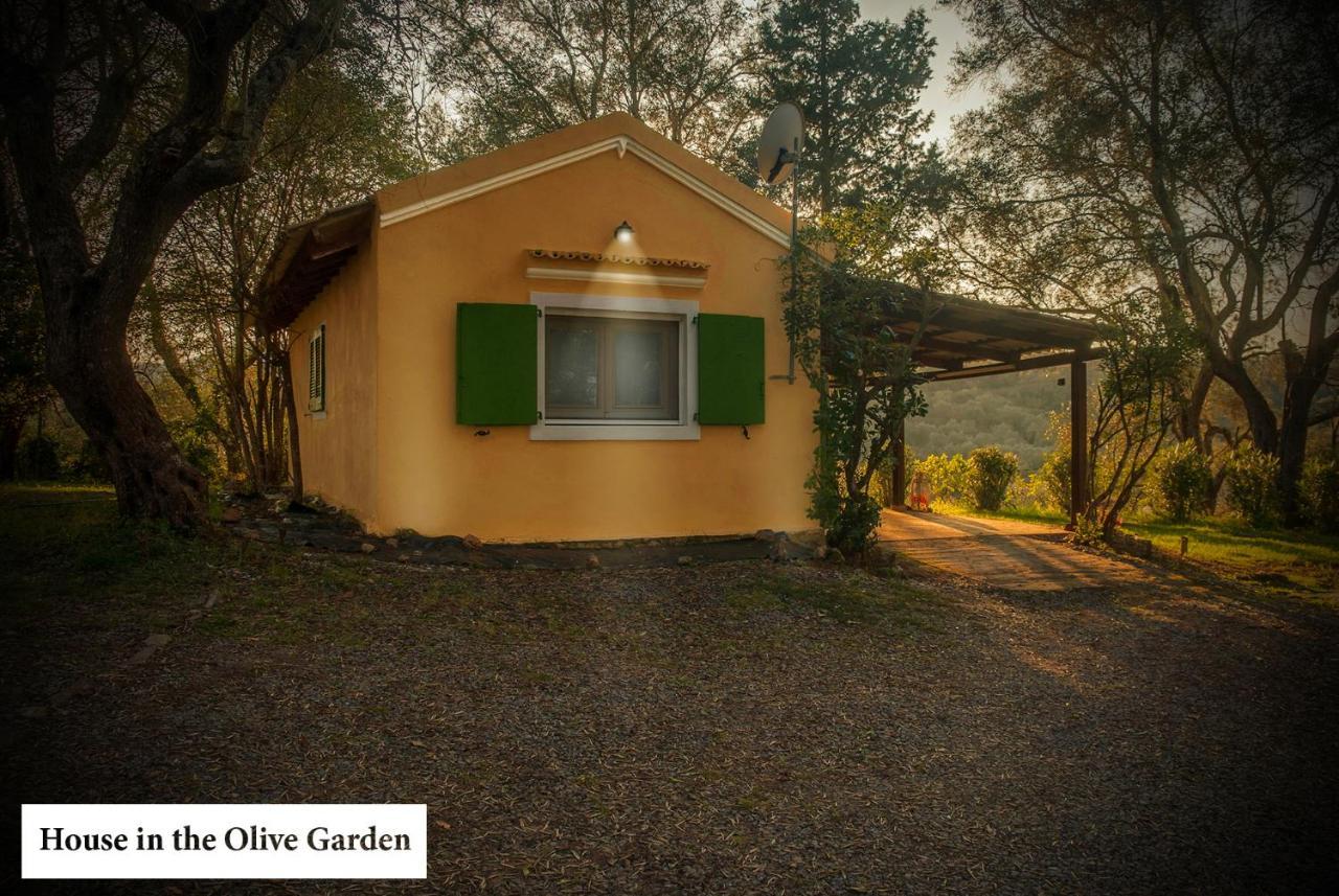 House In The Olive Garden Ágios Ioánnis Exterior foto