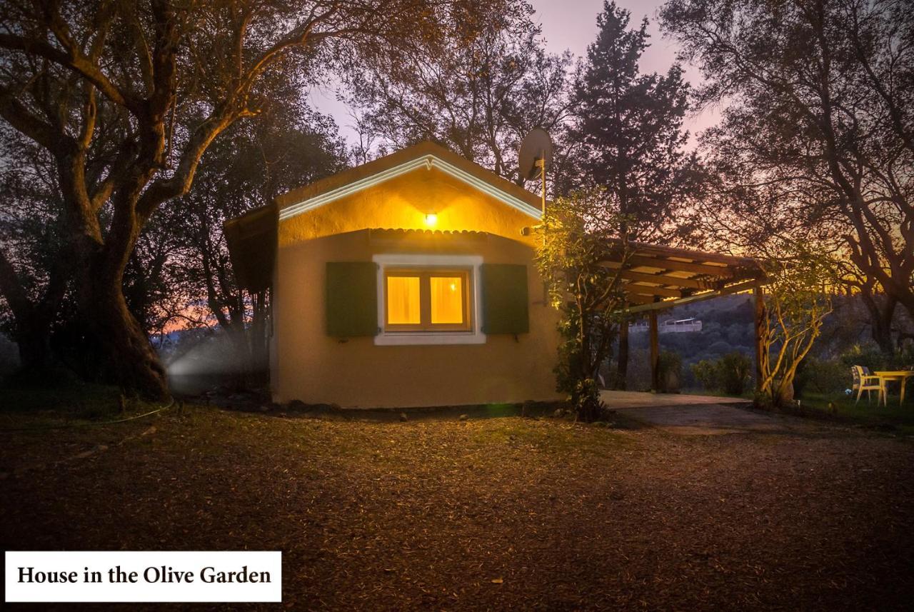 House In The Olive Garden Ágios Ioánnis Exterior foto