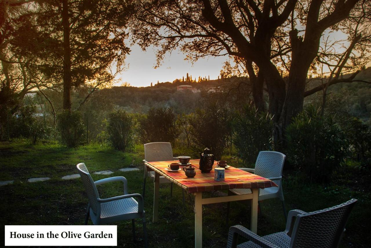House In The Olive Garden Ágios Ioánnis Exterior foto