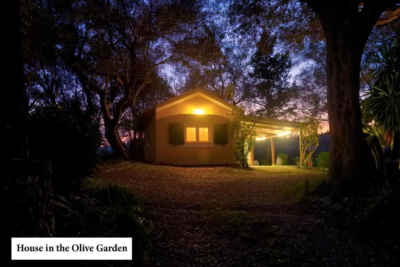 House In The Olive Garden Ágios Ioánnis Exterior foto