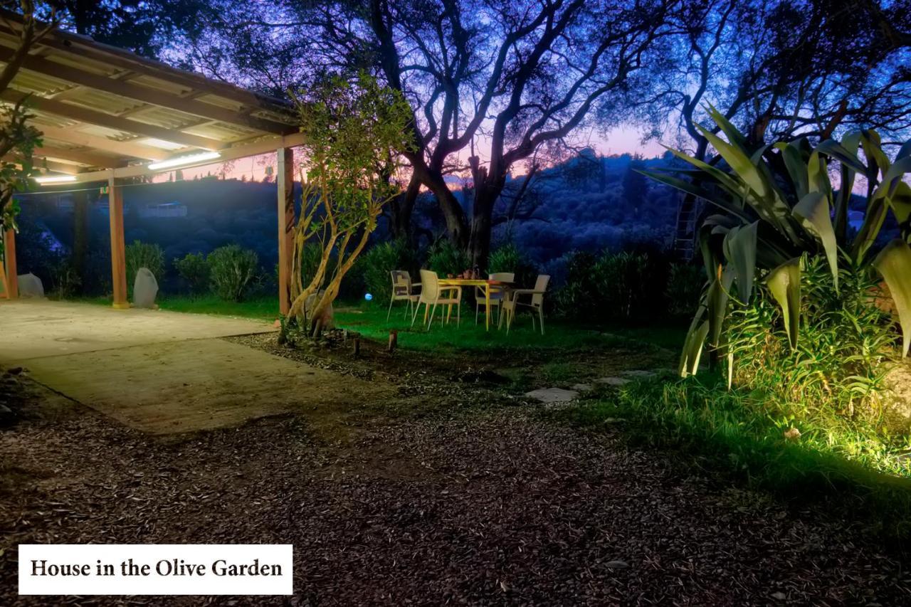 House In The Olive Garden Ágios Ioánnis Exterior foto