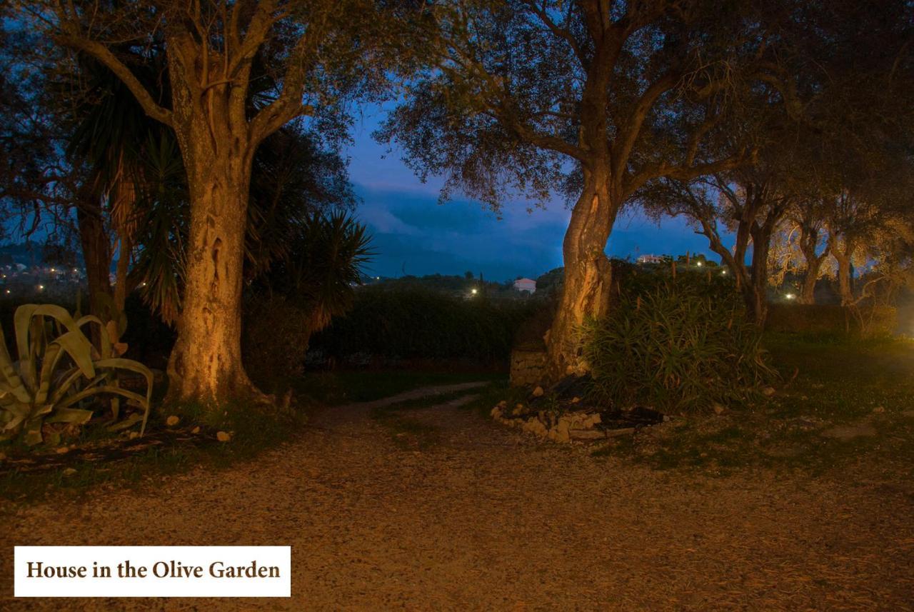 House In The Olive Garden Ágios Ioánnis Exterior foto