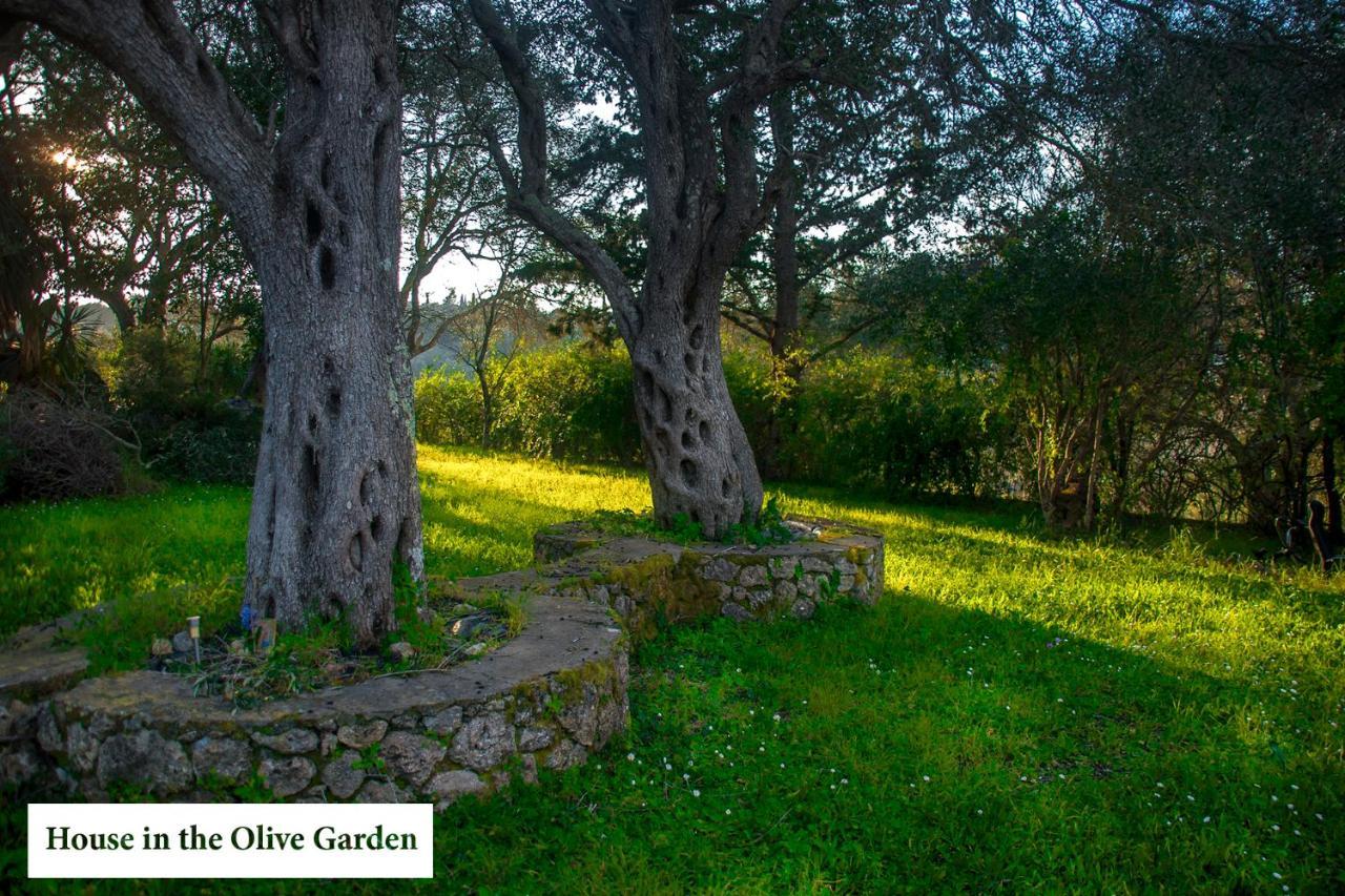 House In The Olive Garden Ágios Ioánnis Exterior foto