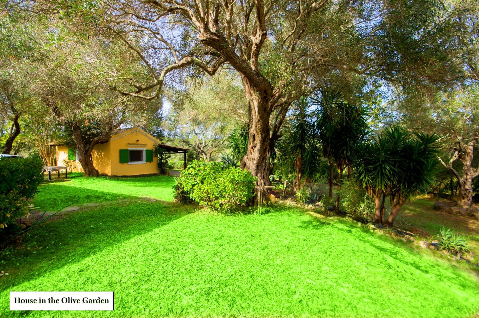 House In The Olive Garden Ágios Ioánnis Exterior foto
