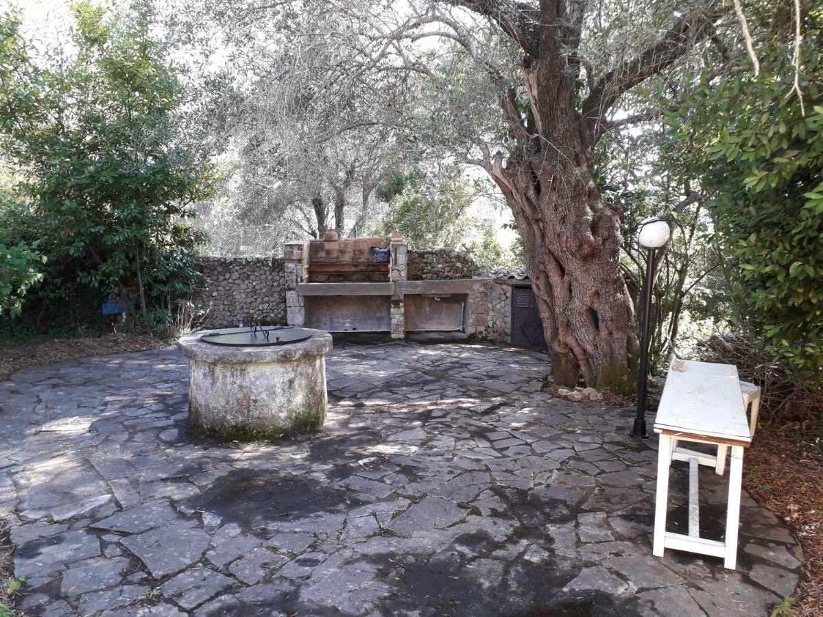 House In The Olive Garden Ágios Ioánnis Exterior foto