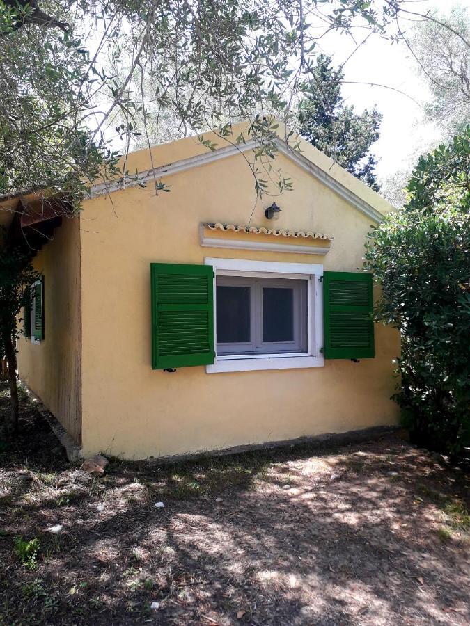 House In The Olive Garden Ágios Ioánnis Exterior foto